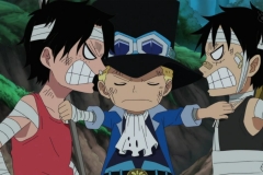 exiluz.com_One_Piece_495_(1280x720) (2)