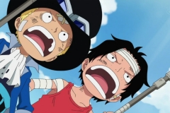 exiluz.com_One_Piece_495_(1280x720) (1)