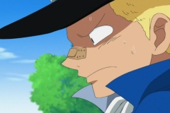 [M.F-Raw] 496 One Piece HD (1280x720 x264 AAC) (1)