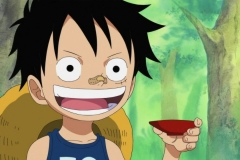 [M.F-Raw] 496 One Piece HD (1280x720 x264 AAC) (2)