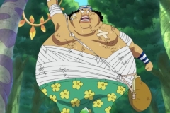 [VFR-Raws]_One_Piece_507_[D-CX_1280x720_x264_AAC]_[CDA99BE5] (2)