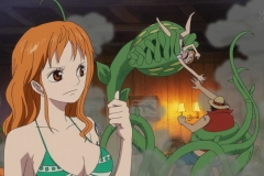 [Zero-Raws] One Piece - 517 (CX 1280x720 VFR x264 AAC)~1 (1)