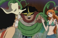 [Zero-Raws] One Piece - 517 (CX 1280x720 VFR x264 AAC)~1 (1)