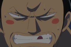 [OPC-Raws]_One_Piece_530_[1280x720_H264_AAC]_[5F592321] (1)