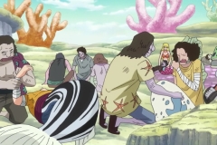 [OPC-Raws]_One_Piece_561_[CX_1280x720_VFR_H264_AAC]_[ACB0C26D] 002 (2)