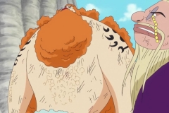 [OPC-Raws]_One_Piece_564_[CX_1280x720_VFR_H264_AAC]_[FEFFFD0D] (2)