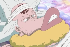 [OPC-Raws]_One_Piece_564_[CX_1280x720_VFR_H264_AAC]_[FEFFFD0D] (2)