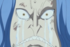 [OPC-Raws]_One_Piece_564_[CX_1280x720_VFR_H264_AAC]_[FEFFFD0D] (2)