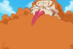 [OPC-Raws]_One_Piece_564_[CX_1280x720_VFR_H264_AAC]_[FEFFFD0D] (2)